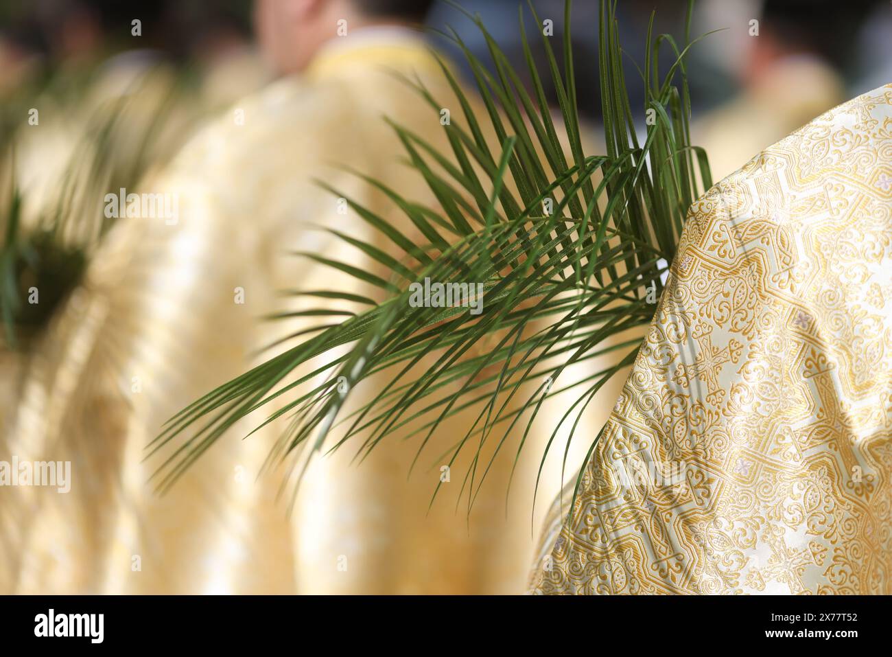 I sacerdoti ortodossi rumeni che tengono le foglie di palma camminano per le strade di Bucarest durante una processione di pellegrinaggio della domenica delle Palme. Foto Stock