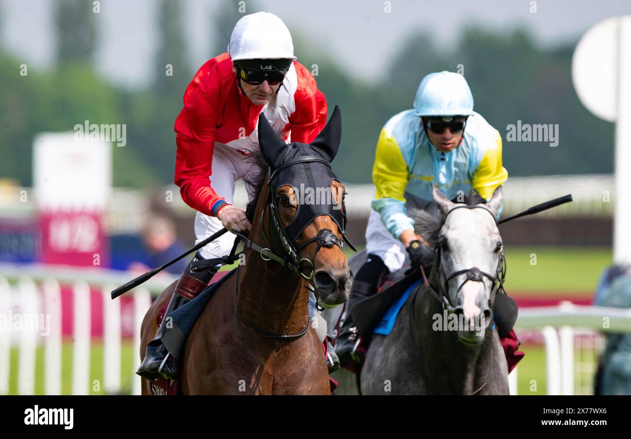 Newbury Racecourse, Regno Unito. Sabato 18 maggio 2024. Audience e Robert Havlin vincono il gruppo 1 al Shaqab Lockinge Stakes per gli allenatori John & Thady Gosden e i proprietari Cheveley Park Stud Crediti JTW equine Images / Alamy Live News Foto Stock