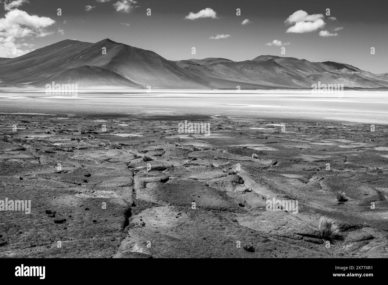 Piedras Rojas (pietre rosse), vicino a San Pedro de Atacama, Cile. Foto Stock