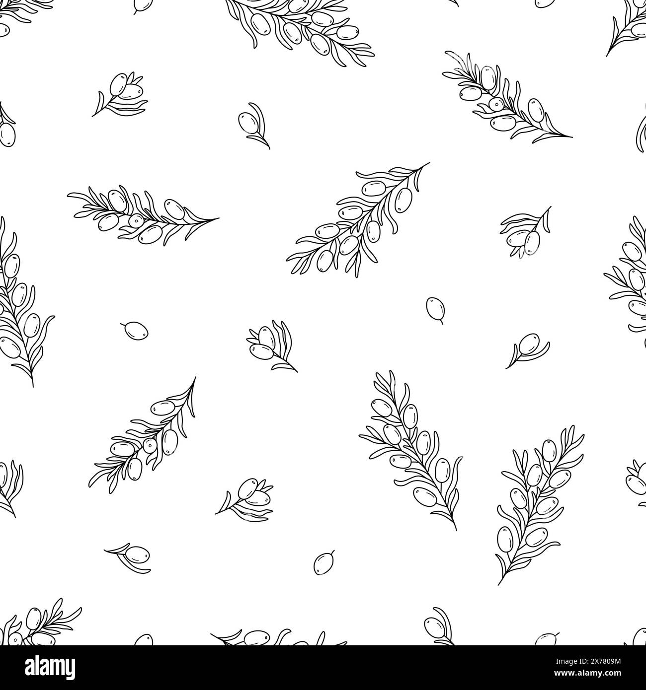 Rami di spinoso marino senza cuciture. Illustrazione vettoriale di una bacca commestibile curativa. Sfondo Foto Stock