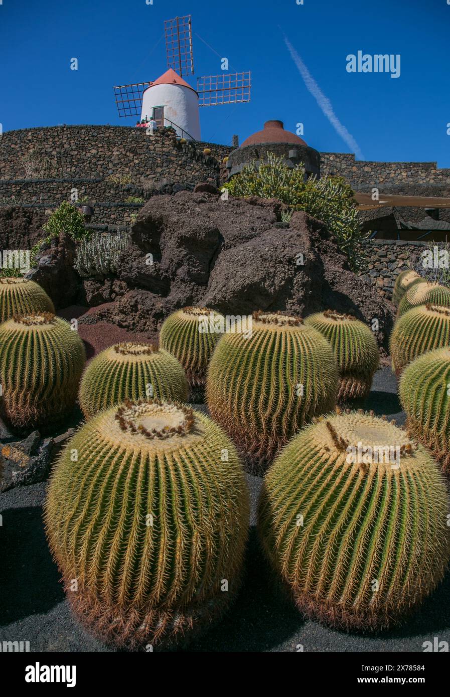 Giardino del cactus (Jardín de cactus) de César Manrique, Lanzarote, isole Canarie Foto Stock