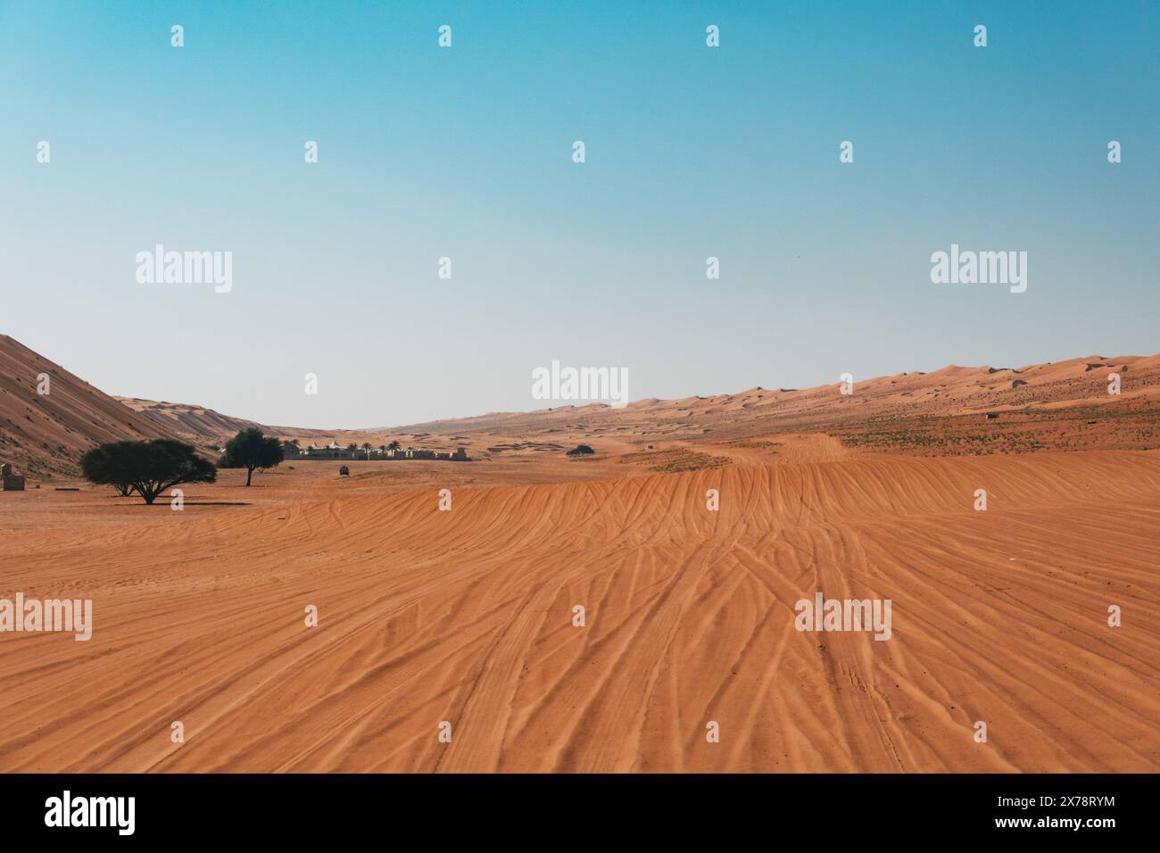 Percorso nel deserto che attraversa Sharqiyah Sands in Oman, con dune di sabbia rossa, vegetazione sparsa e un cielo azzurro Foto Stock