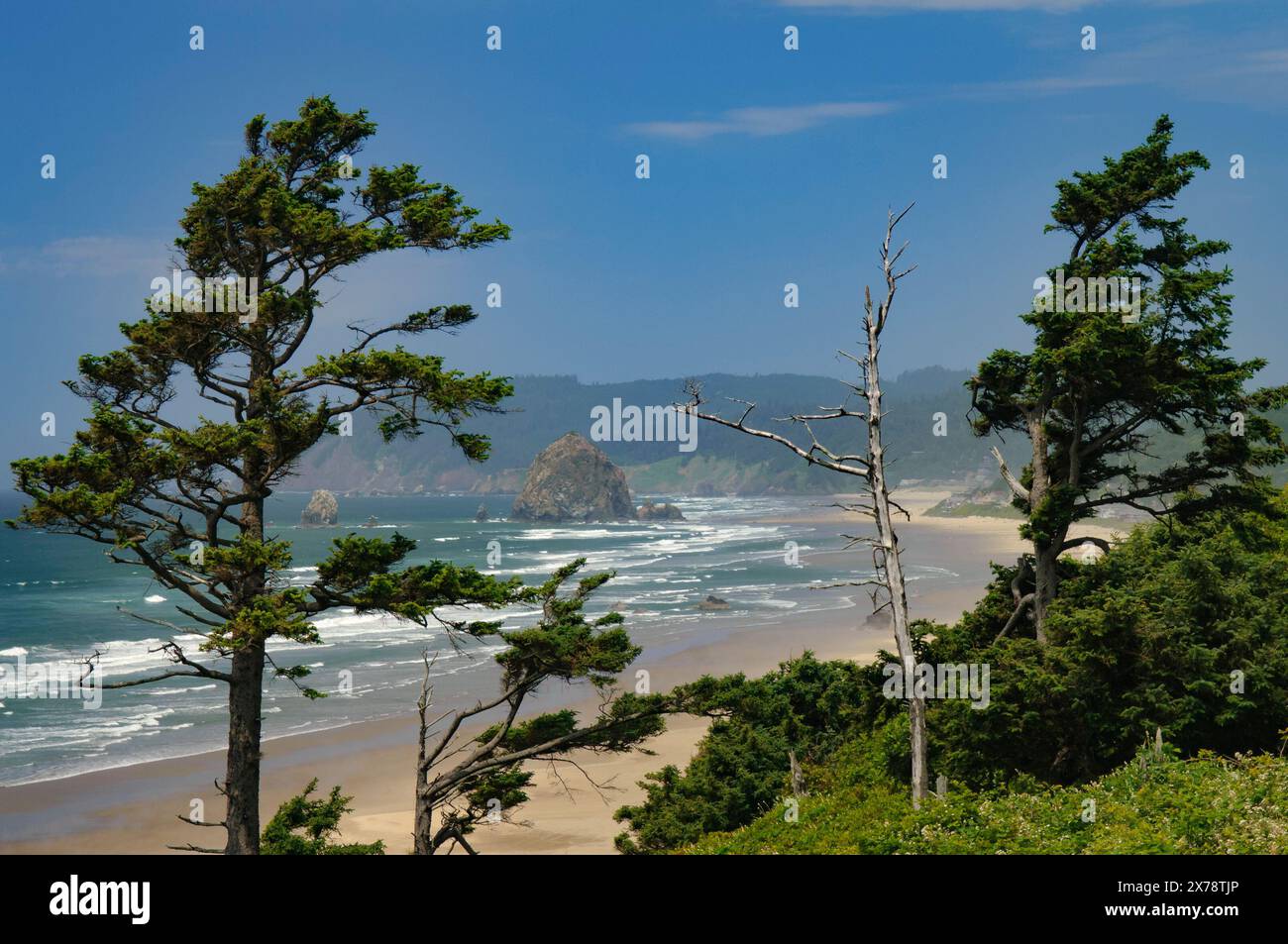 Cannon Beach e Haystack Rock dal punto panoramico dell'autostrada 101 sulla costa settentrionale dell'Oregon. Foto Stock