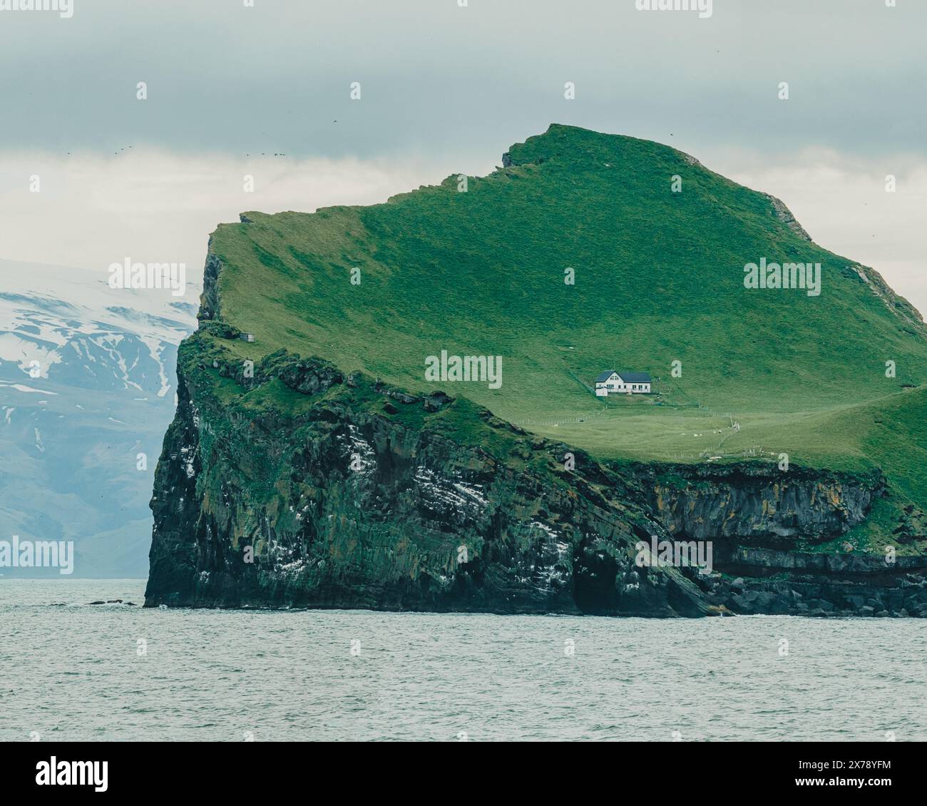 Una vista panoramica di una piccola isola isolata a Vestmannaeyjar (Isole Westman), Islanda, caratterizzata da scogliere verdi e una casa solitaria. Foto Stock