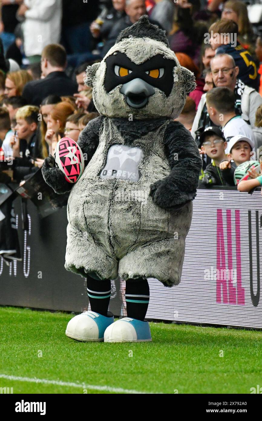 Swansea, Galles. 18 maggio 2024. La mascotte ufficiale degli Ospreys Ozzie the Osprey dopo la partita della United Rugby Championship (URC) Round 17 tra Ospreys e Dragons al Swansea.com Stadium di Swansea, Galles, Regno Unito il 18 maggio 2024. Crediti: Duncan Thomas/Majestic Media/Alamy Live News. Foto Stock