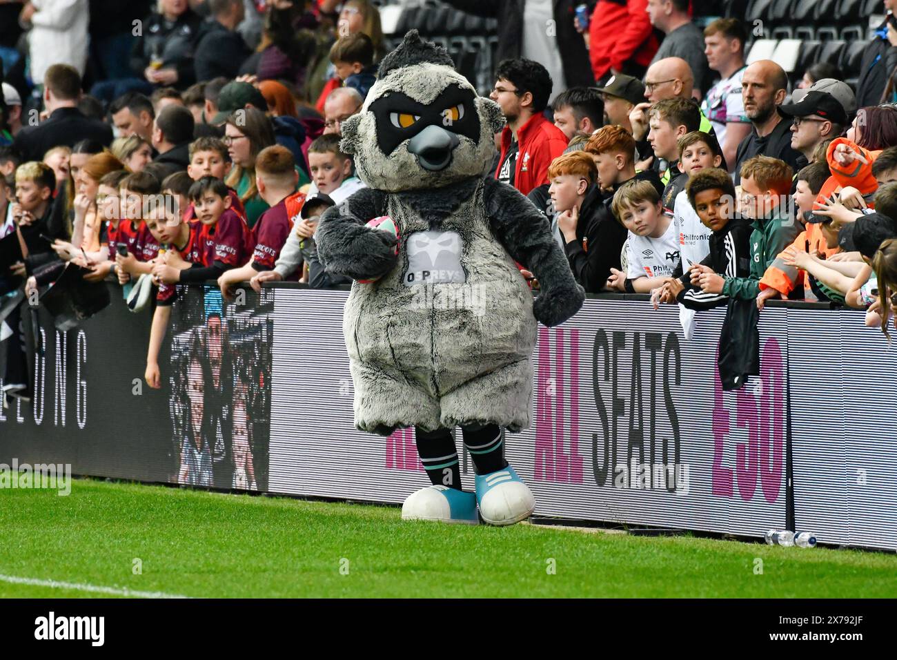 Swansea, Galles. 18 maggio 2024. La mascotte ufficiale degli Ospreys Ozzie dopo la partita del 17° round del United Rugby Championship (URC) tra Ospreys e Dragons al Swansea.com Stadium di Swansea, Galles, Regno Unito, il 18 maggio 2024. Crediti: Duncan Thomas/Majestic Media/Alamy Live News. Foto Stock
