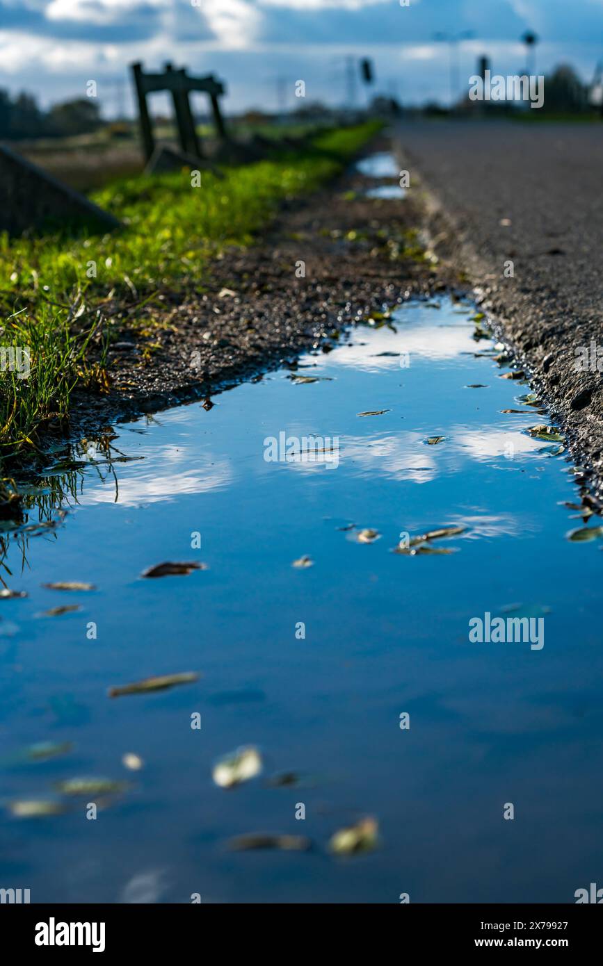 Una tranquilla strada rurale con una pozza riflettente, fiancheggiata da una vegetazione lussureggiante sotto un vasto cielo blu nuvoloso. Questa immagine cattura la bellezza quotidiana della città Foto Stock