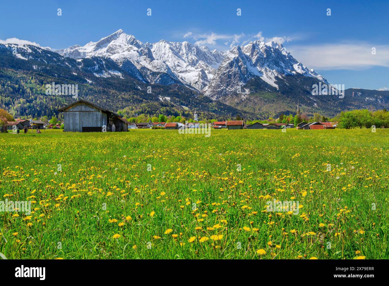 Prato primaverile con fienili ai margini del villaggio di fronte allo Zugspitzgruppe 2962 m nel Wetterstein Range, Garmisch-Partenkirchen, Loisachtal Foto Stock