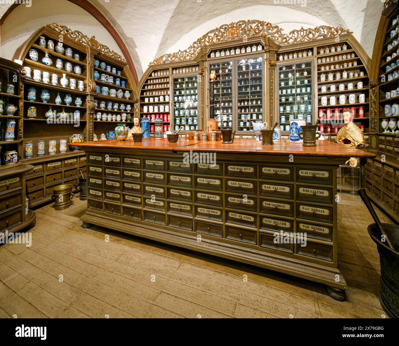 Farmacia del Convento delle Ursuline Klagenfurt, Museo tedesco della Farmacia nel Castello di Heidelberg, Heidelberg, Baden-Wuerttemberg, Germania Foto Stock