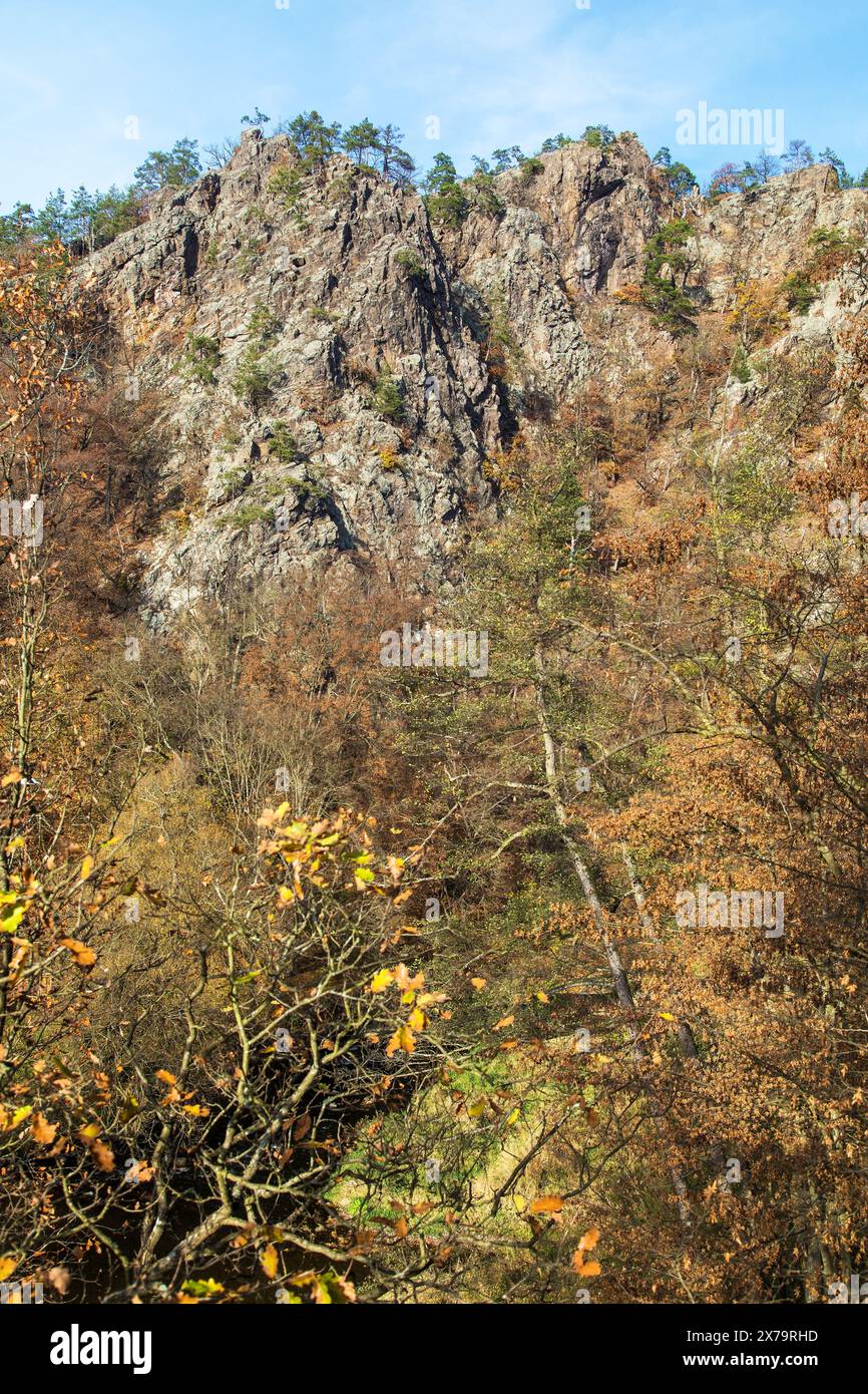 Ketkovak o Levnov e oslava (oslavka) in autunno, repubblica ceca Foto Stock