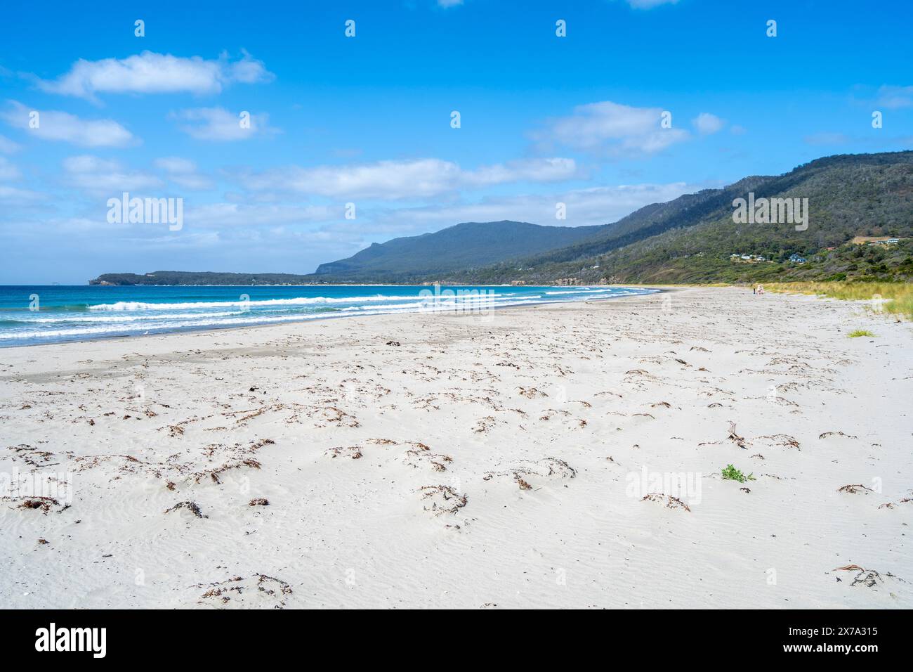 Spiaggia di sabbia bianca con acqua blu, Eaglehawk Neck, Tasmania Foto Stock