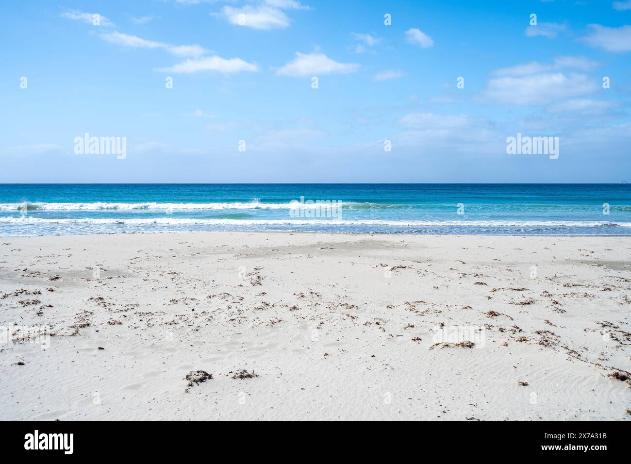 Spiaggia di sabbia bianca con acqua blu, Eaglehawk Neck, Tasmania Foto Stock