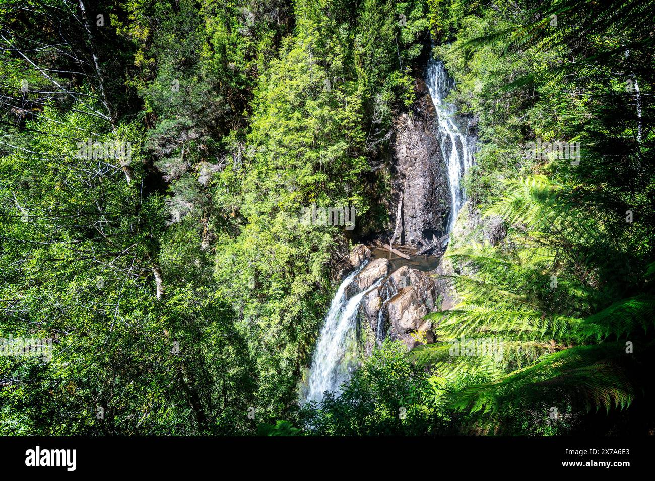 Philosopher Falls, Waratah, Tasmania Foto Stock