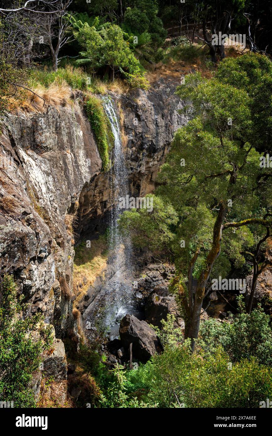 Preston Falls, Gunns Palin, Tasmania Foto Stock