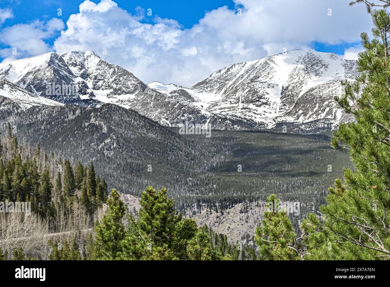 Rocky Mountain National Park vicino a Estes Park Colorado Mountains - paesaggio montano - neve sulla cima della montagna - molti parchi curve Foto Stock