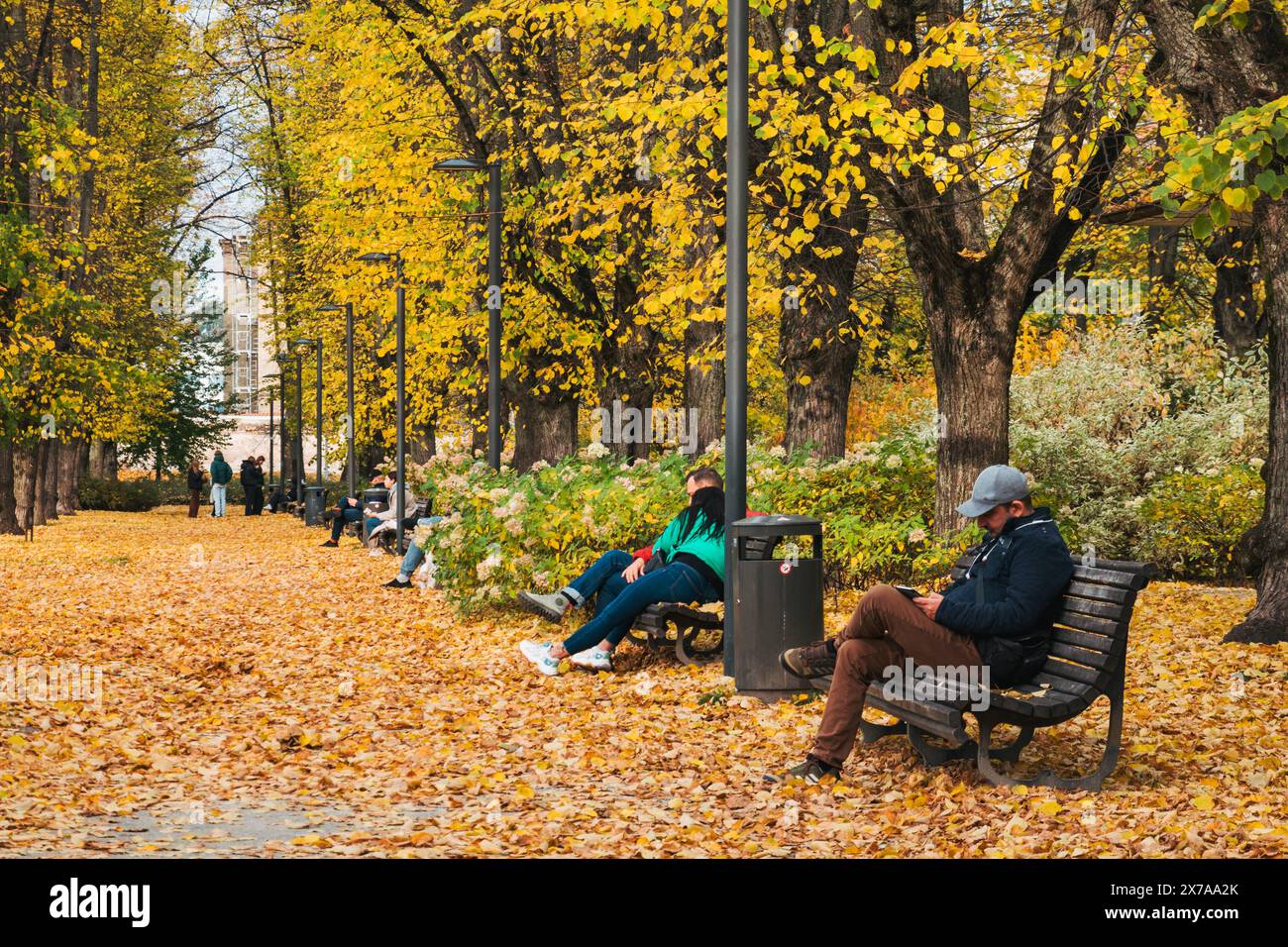 Le persone siedono sulle panchine del parco su un sentiero ricoperto di foglie d'autunno gialle in Piazza Lukiškės, Vilnius, Lituania Foto Stock