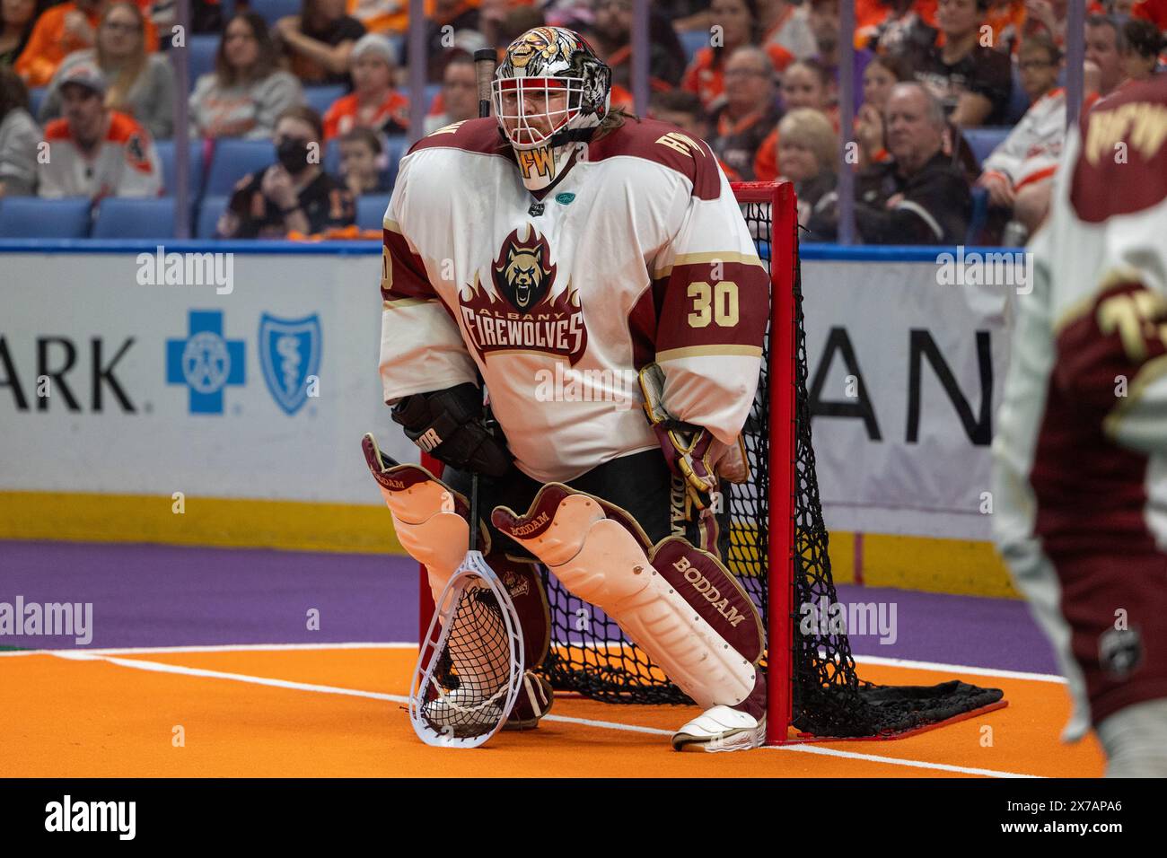 18 maggio 2024: Il portiere degli Albany Firewolves Doug Jamieson (30) salta nel secondo quarto contro i Buffalo Bandits. I Buffalo Bandits ospitarono gli Albany Firewolves in gara 2 delle finali della National Lacrosse League al KeyBank Center di Buffalo, New York. (Jonathan tenca/CSM) Foto Stock