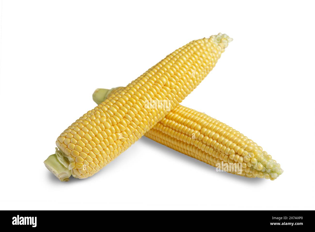 Due orecchie gialle sbucciate di mais isolate su sfondo bianco. Ingrediente alimentare, elemento di design, fattoria, raccolto, agricoltura. Foto Stock