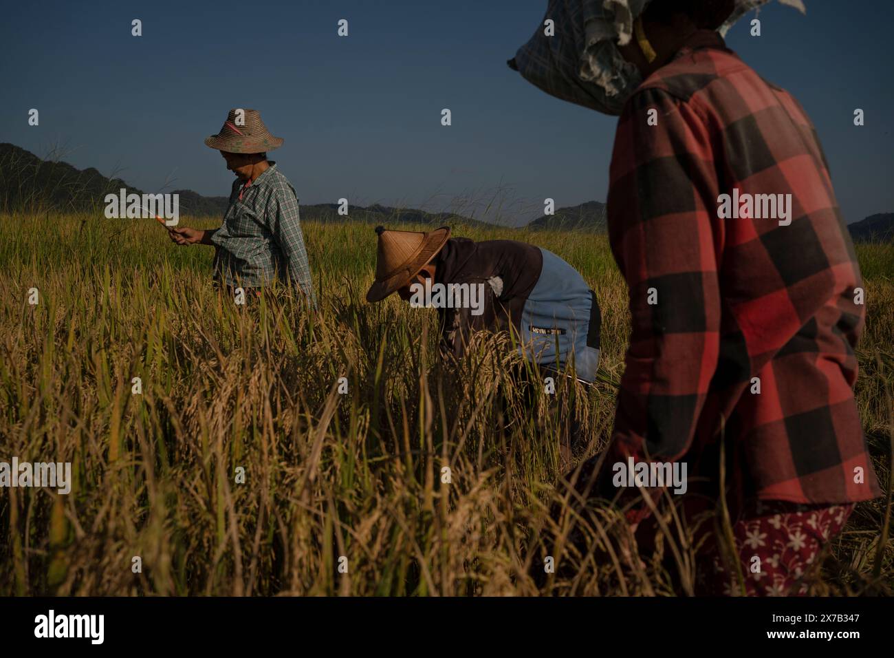 Agricoltori nello stato di Karenni, Myanmar. Foto Stock