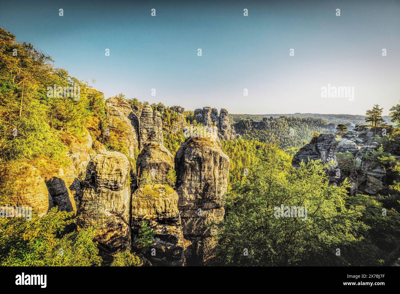 Formazioni rocciose presso il Bastei nella Svizzera sassone in Germania, panorama, arenaria dell'Elba, alberi, sentiero del pittore Foto Stock