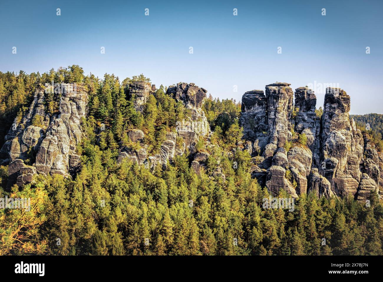 Formazioni rocciose presso il Bastei nella Svizzera sassone in Germania, panorama, arenaria dell'Elba, alberi, sentiero del pittore Foto Stock