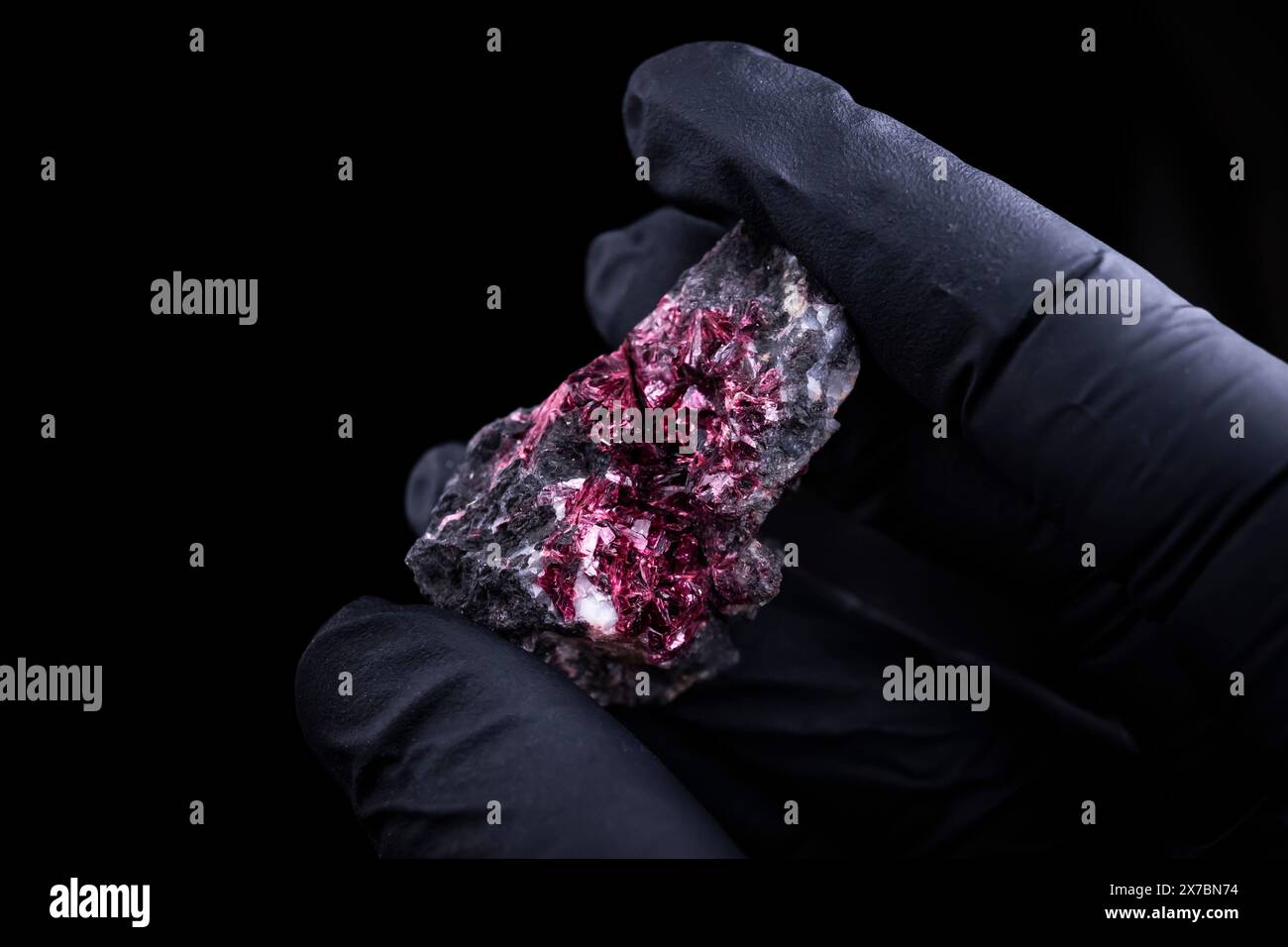 Qualcuno con guanti neri che tiene in mano un esemplare minerale di eryhtrite proveniente dal Marocco. Foto Stock