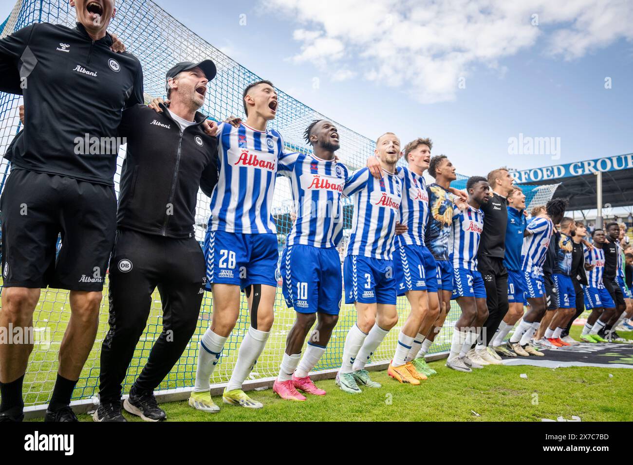 Danimarca. 19 maggio 2024. I giocatori di OB insieme al capo-allenatore Soeren Krogh e all'assistente allenatore Frank Hjortebjerg dopo la vittoria nella partita della 3F Super League tra OB e Randers FC al Nature Energy Park di Odense, domenica 19 maggio 2024. (Foto: Mads Claus Rasmussen/Ritzau Scanpix) credito: Ritzau/Alamy Live News Foto Stock