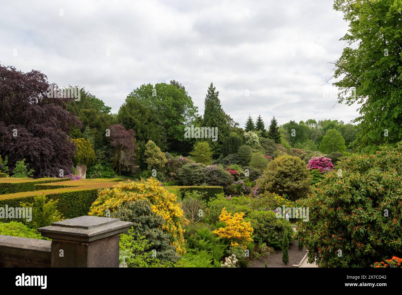 Biddulph.Staffordshire.Regno Unito. 1 giugno 2023. Foto del giardino di Biddulph Grange Foto Stock