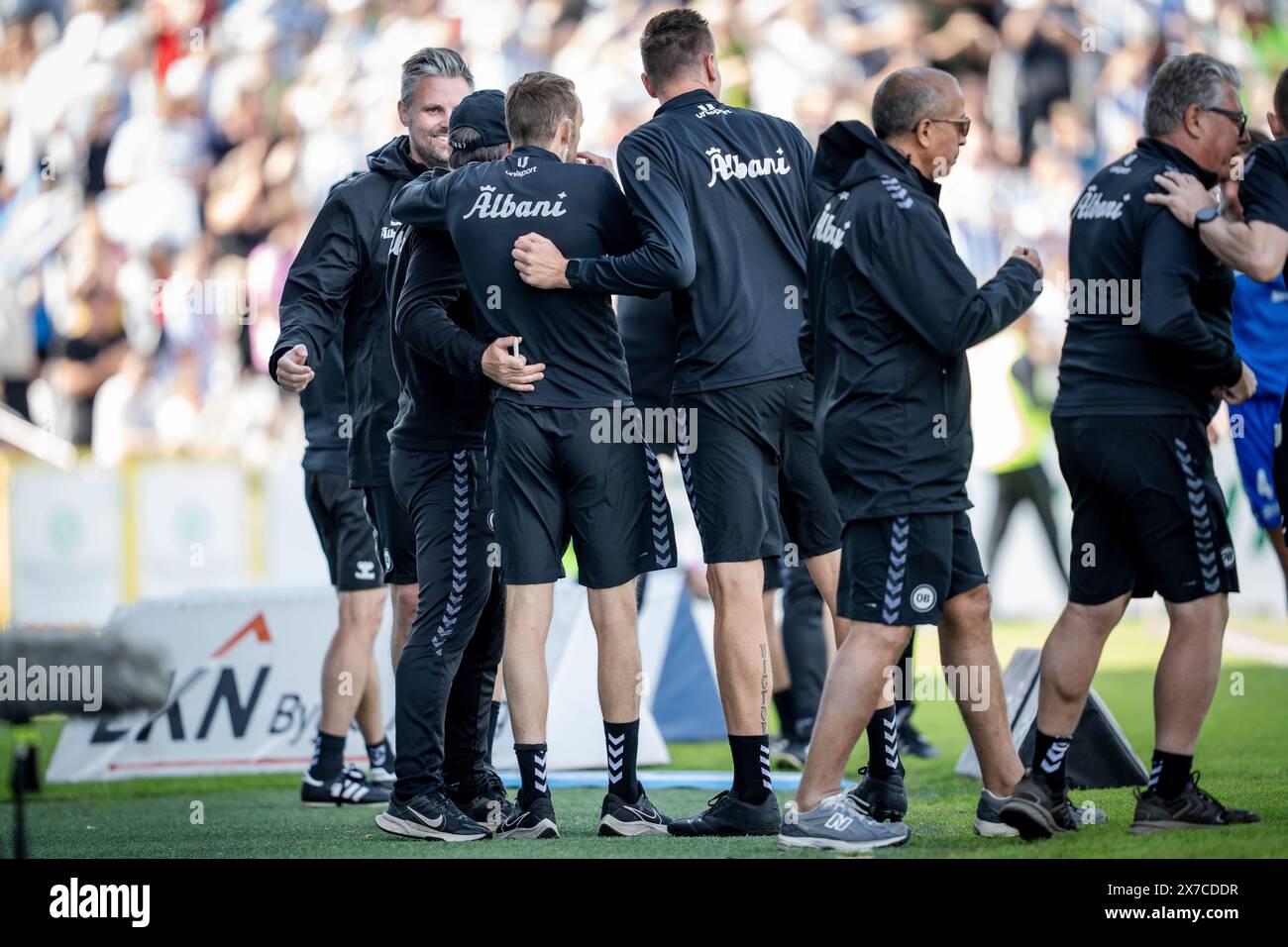 Danimarca. 19 maggio 2024. Tifo tra la squadra di allenatori di OB quando Luca Kjerrumgaard di OB segna a 2-0 durante la partita della 3F Super League tra OB e Randers FC al Nature Energy Park di Odense, domenica 19 maggio 2024. (Foto: Mads Claus Rasmussen/Ritzau Scanpix) credito: Ritzau/Alamy Live News Foto Stock