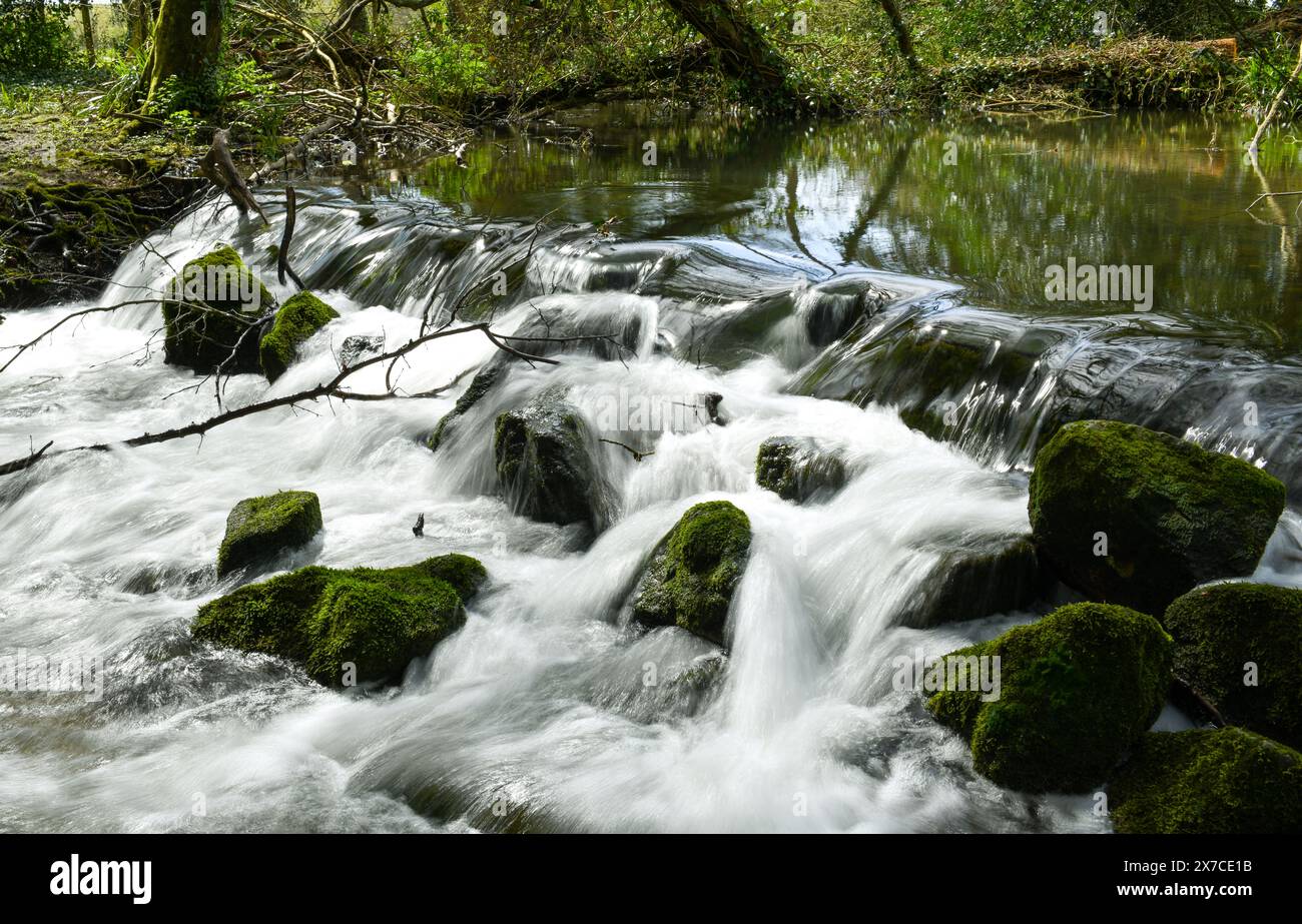 Fiume vicino a Kingston Maurward. Foto Stock