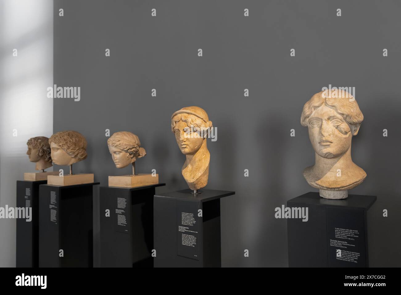 Ritratti scultorei romani (copie), teste di marmo classiche II Foto Stock