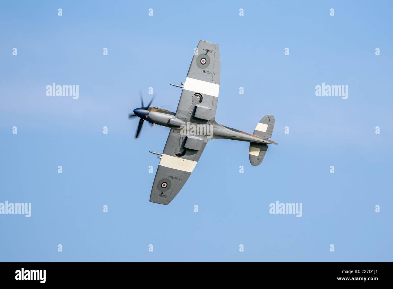 1947 Supermarine Spitfire fr. XIV, in volo al Best of British Air Show tenutosi a Shuttleworth il 12 maggio 2024. Foto Stock