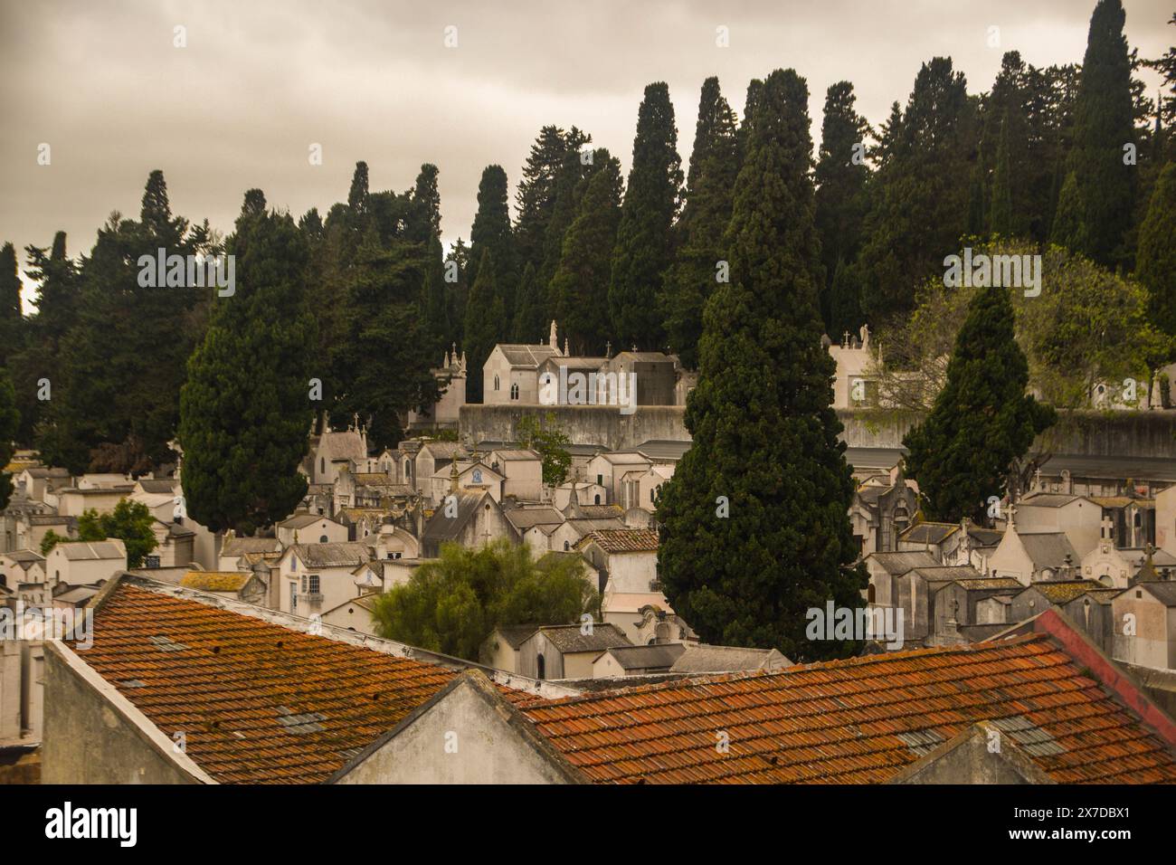 Piccolo cimitero in un quartiere di Lisbona Foto Stock