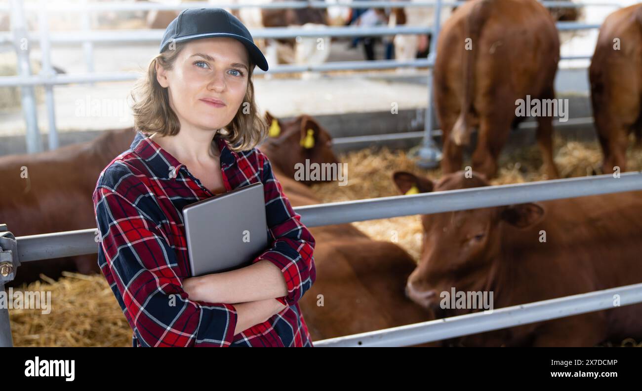 Donna contadina con tablet in un caseificio. Gestione delle mandrie... Foto Stock