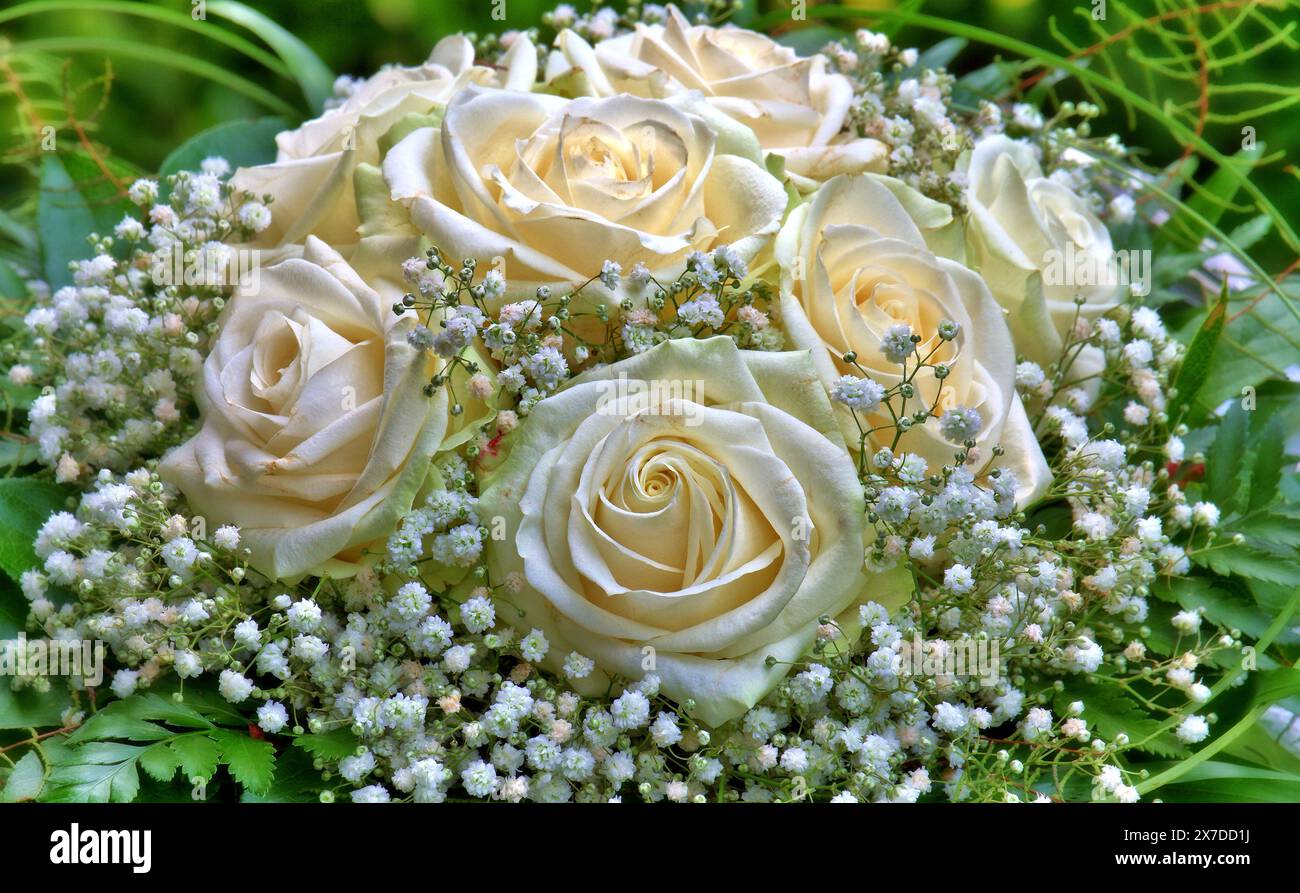 Bouquet con rose bianche e gypsophila per il vostro anniversario di matrimonio (Germania) Foto Stock