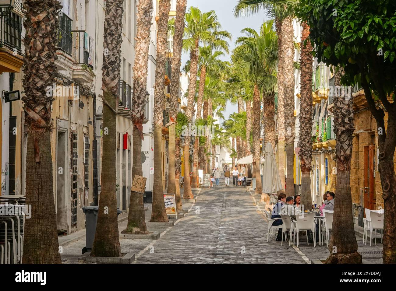 Calle Virgen De la Palma, una strada pedonale fiancheggiata da palme conosciuta per i ristoranti e i caffè a Cadice, Spagna. Cádiz è uno dei più antichi insediamenti abitati in Europa, fondato dai Fenici intorno al 1100 a.C.. Foto Stock