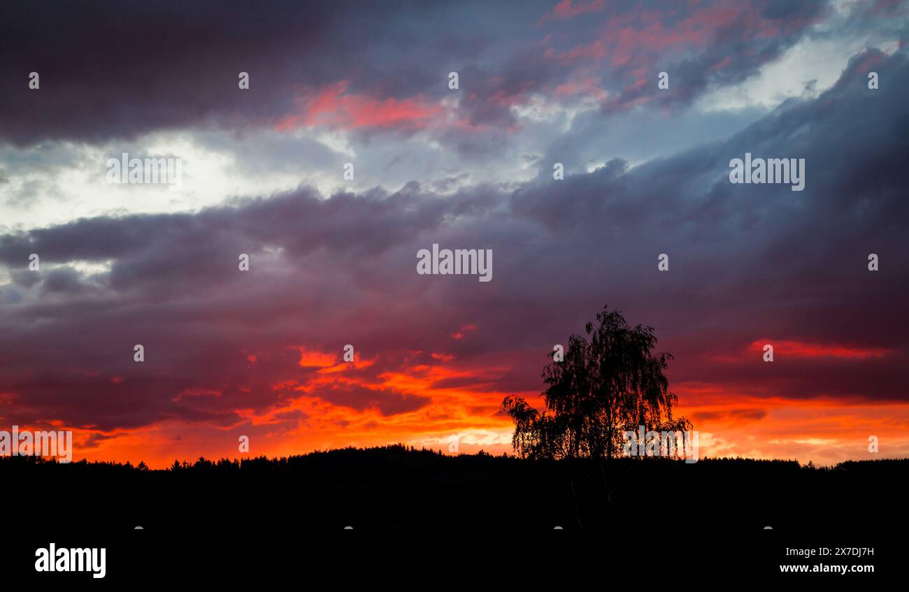 Cielo ardente, tramonto nel Waldviertel, Austria Foto Stock