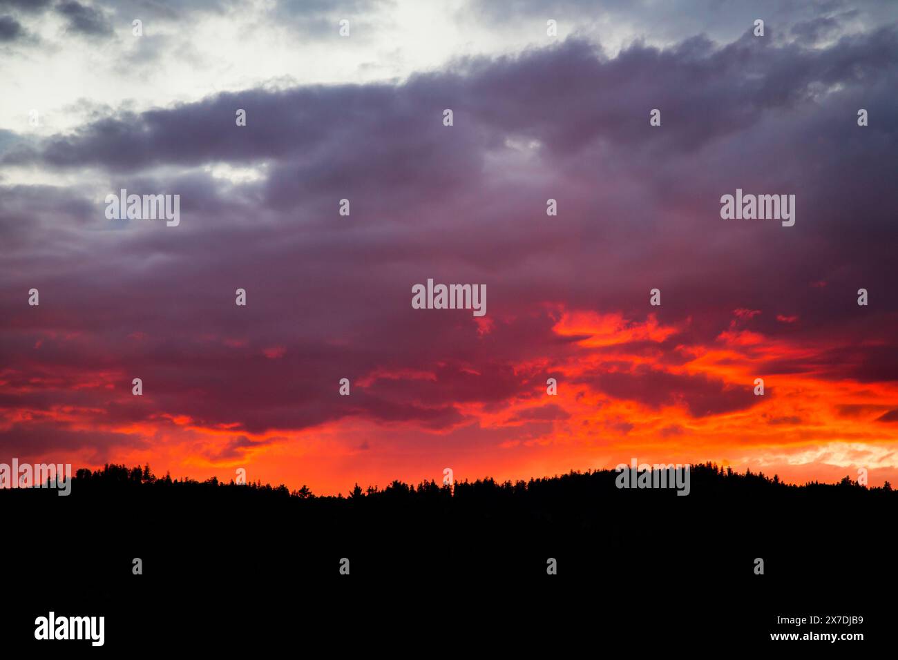 Cielo ardente, tramonto nel Waldviertel, Austria Foto Stock