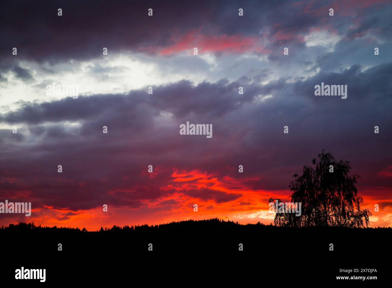 Cielo ardente, tramonto nel Waldviertel, Austria Foto Stock