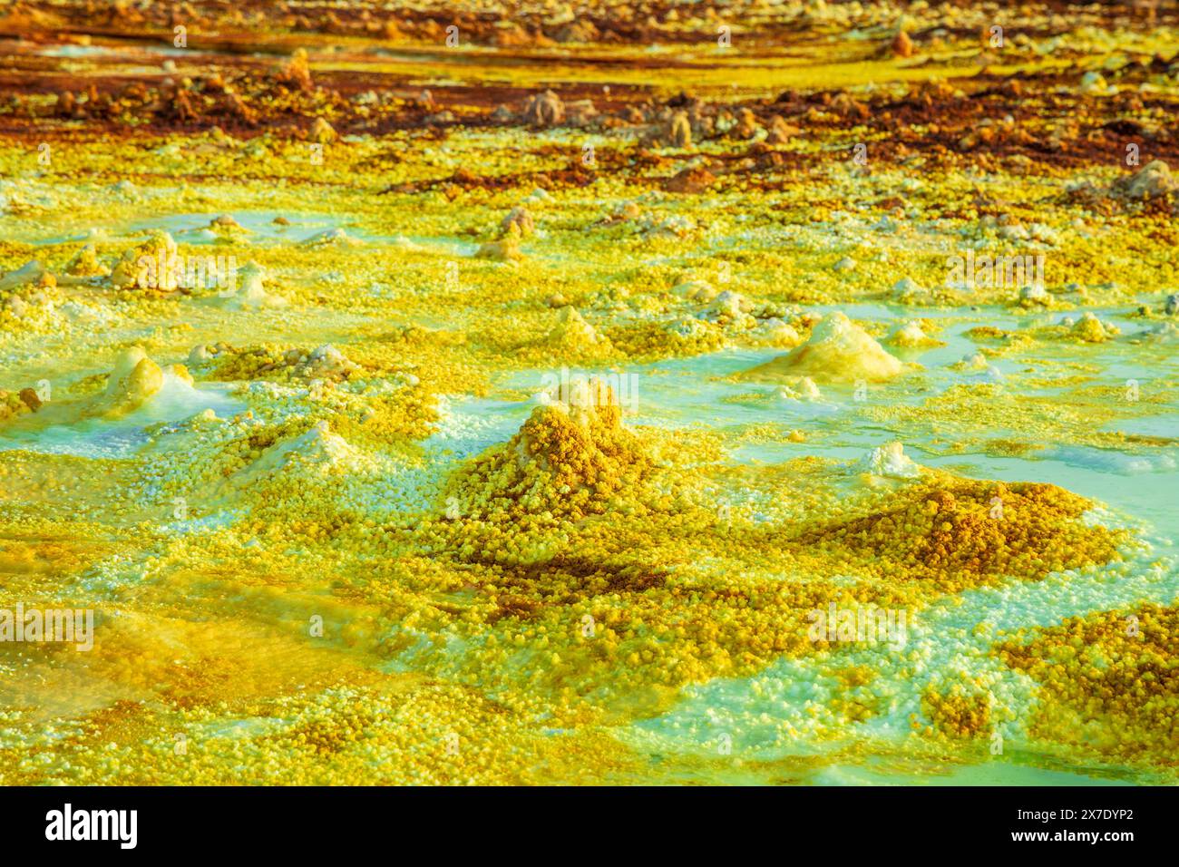 Campi di zolfo gialli si formano nel paesaggio vulcanico del deserto della depressione del Danakil, regione di Afar, Etiopia Foto Stock