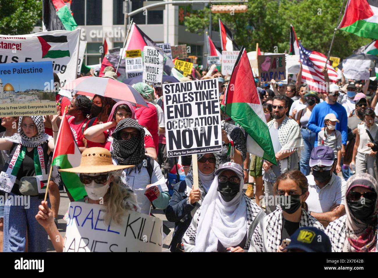 Austin, Texas, USA, 19 maggio 2024: Gruppi pro-palestinesi si radunano nel centro di Austin condannando la guerra di Israele contro la Palestina e il Texas Gov. Greg Abbott sostiene le azioni di Israele. La folla stimata in circa 5.000 persone, marciò per le strade dopo che Abbott, con una mossa rara, chiuse il Campidoglio domenica citando la paura della violenza. Crediti: Bob Daemmrich/Alamy Live News Foto Stock