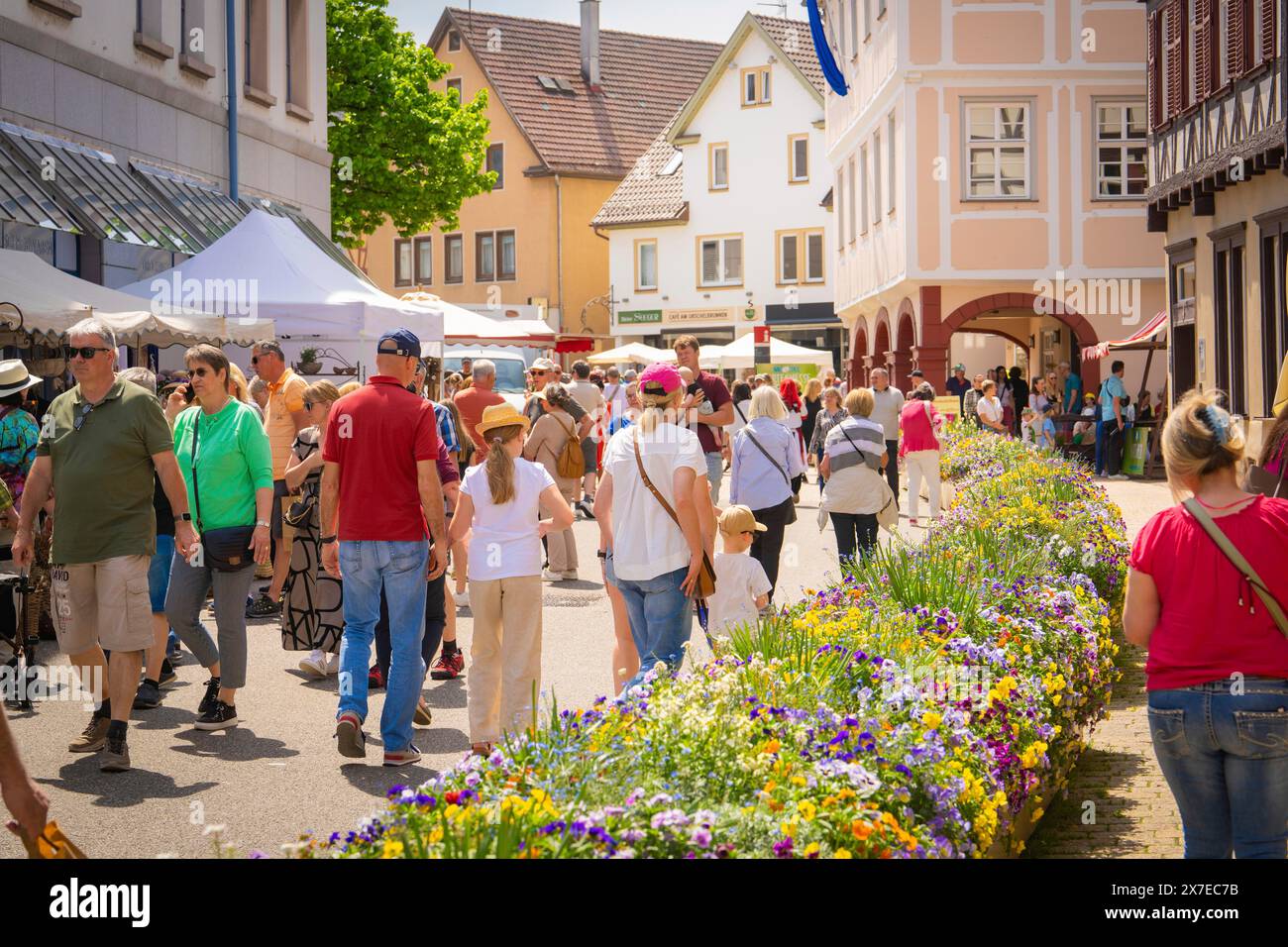 Persone che si godono un festival della città con aiuole di fiori e bancarelle di mercato in primavera, primavera, Nagold, Foresta Nera, Germania Foto Stock