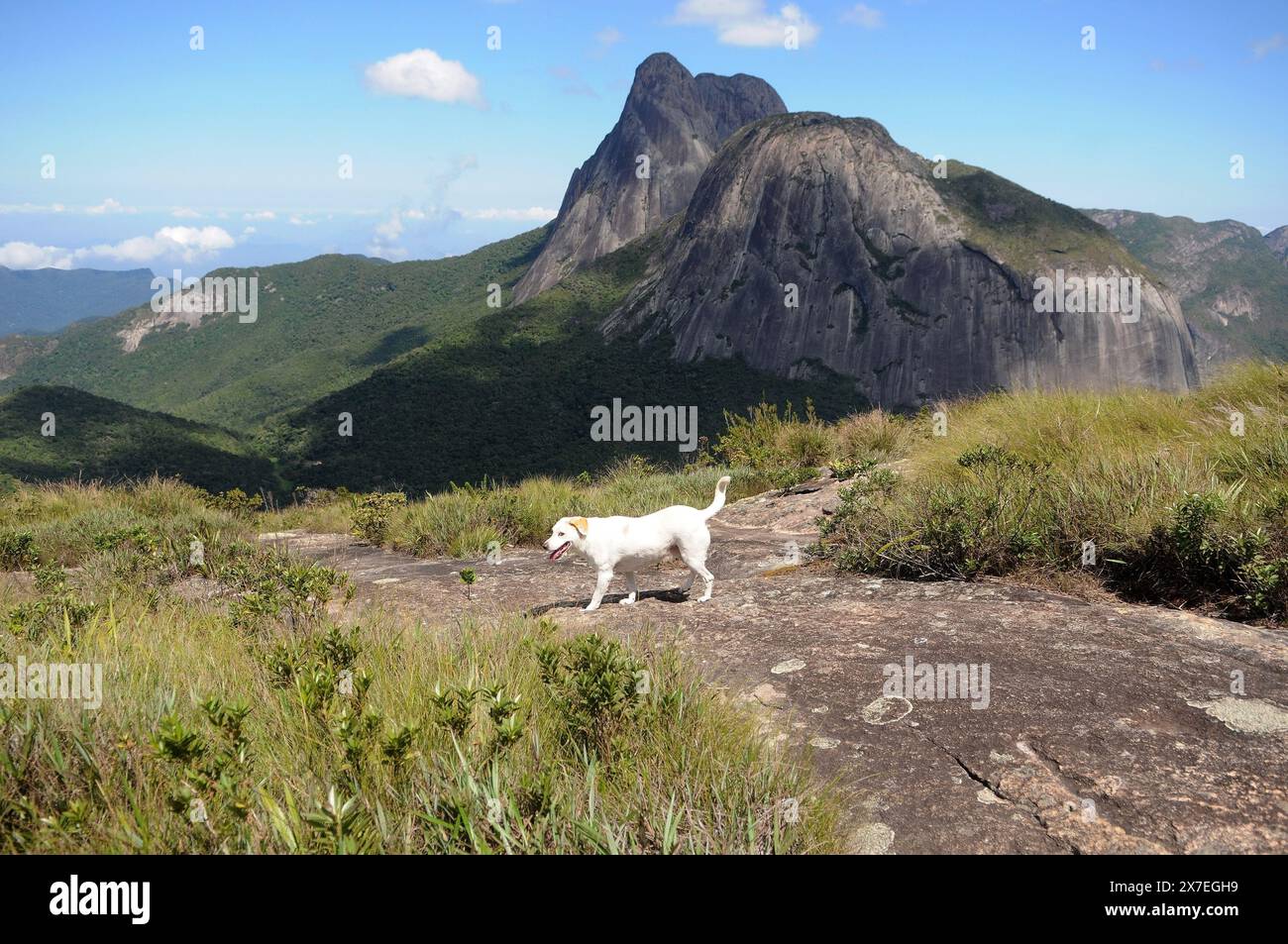 Parco statale di Três Picos. Situato nella Serra do Mar, nella regione montuosa della città di Nova Friburgo, nello stato di Rio de Janeiro Foto Stock