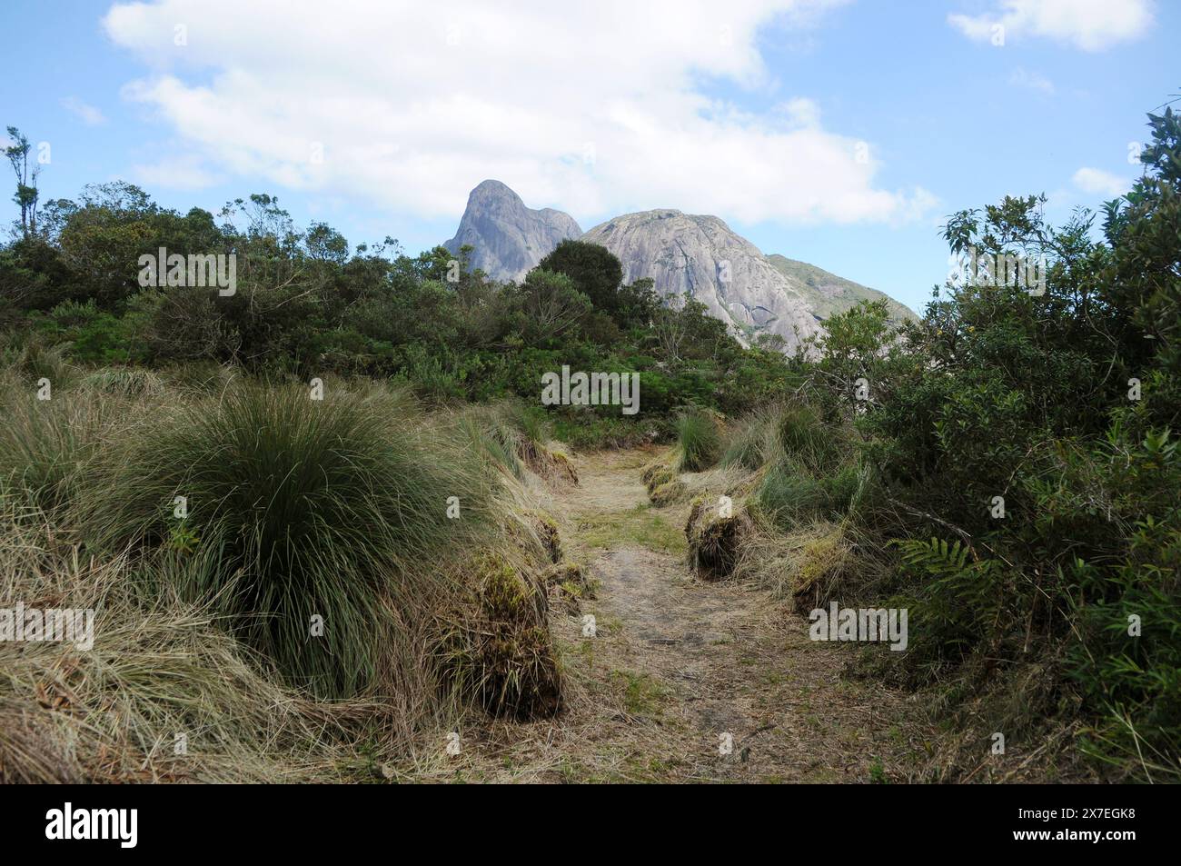 Parco statale di Três Picos. Situato nella Serra do Mar, nella regione montuosa della città di Nova Friburgo, nello stato di Rio de Janeiro Foto Stock