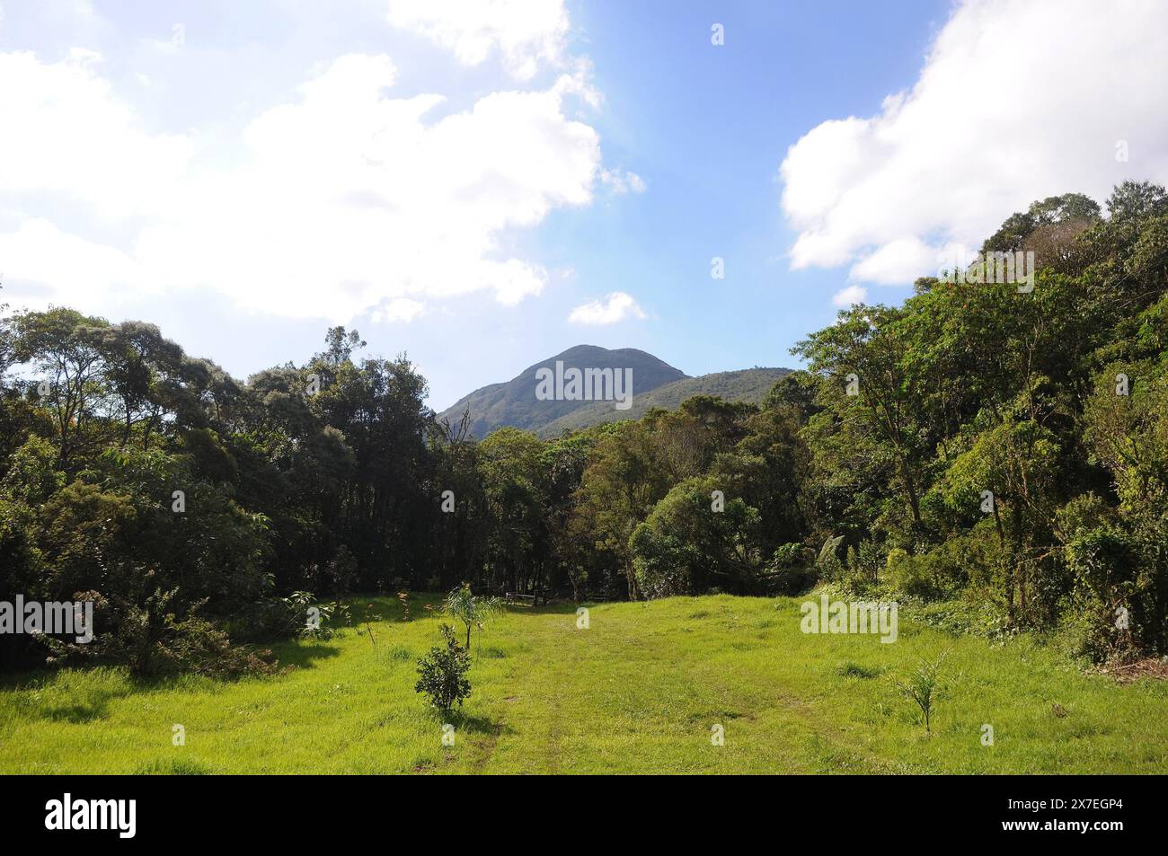 Parco statale di Três Picos. Situato nella Serra do Mar, nella regione montuosa della città di Nova Friburgo, nello stato di Rio de Janeiro Foto Stock