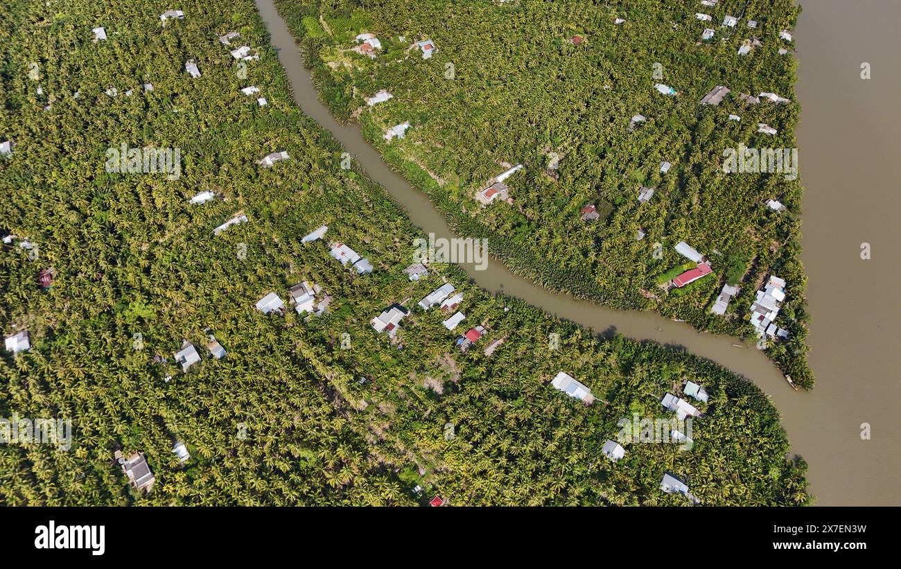 Incredibile vista aerea del delta del Mekong, vasto campo di noci di cocco, palme, nipa, sistema di irrigazione per canale con molti rami fluviali, fonte d'acqua per l'agricoltura Foto Stock