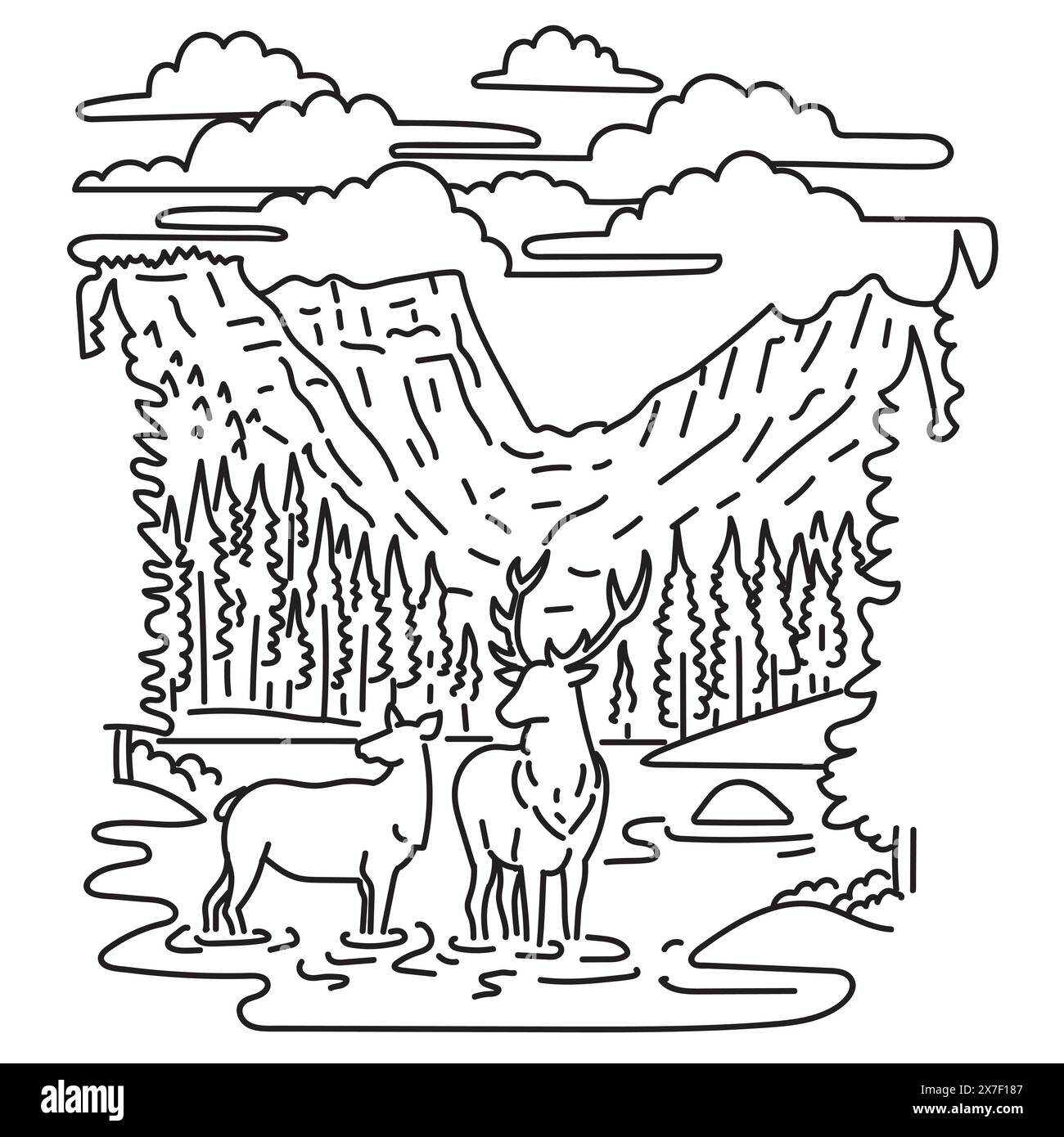 Illustrazione monolinea di alci o wapiti nel Rocky Mountain National Park nel Colorado settentrionale, che attraversa il Continental divide negli Stati Uniti d'America Illustrazione Vettoriale