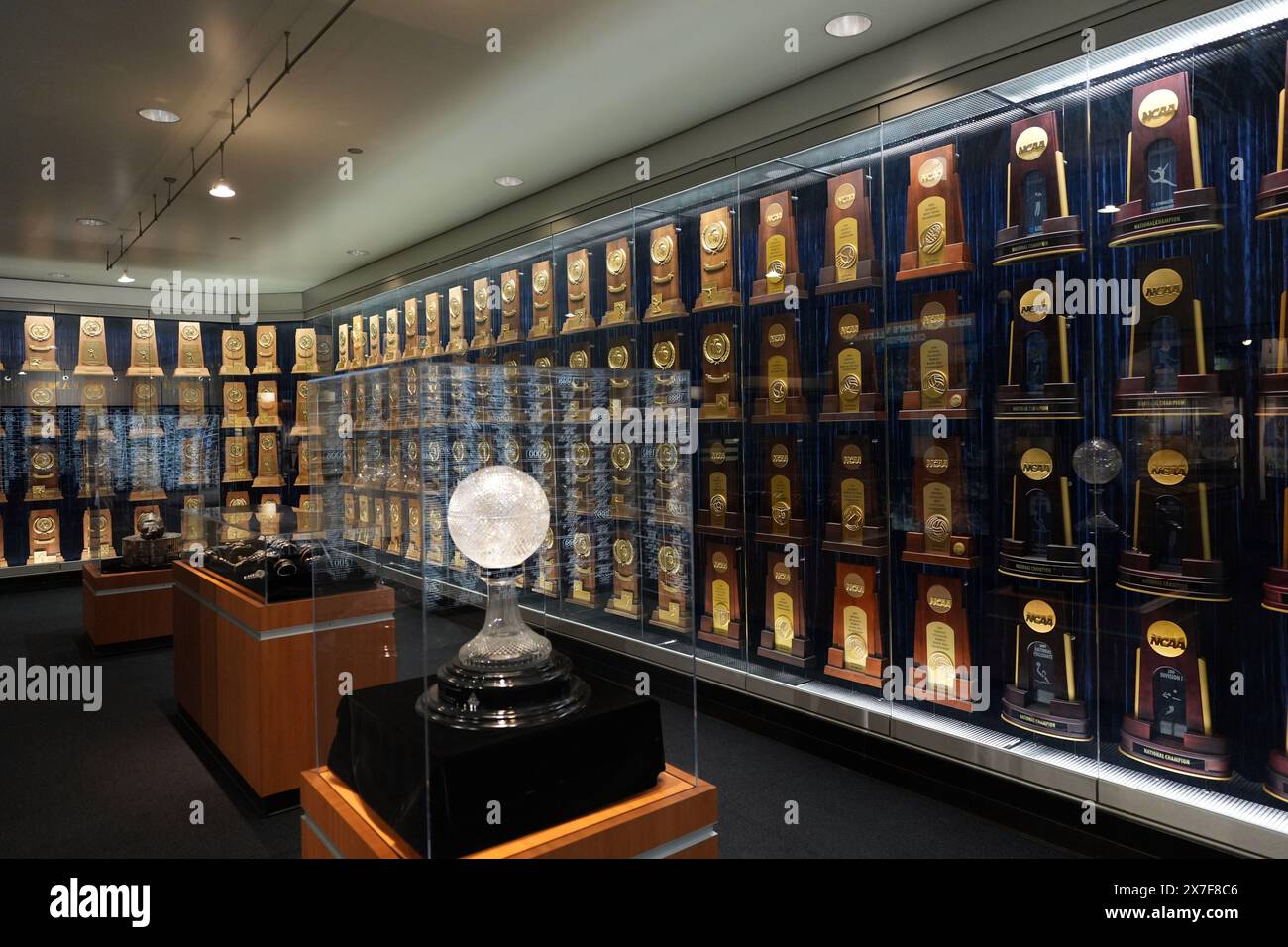 Trofei NCAA National Championship alla UCLA Bruins Hall of Champions al J.D. Morgan Center, venerdì 17 maggio 2024, a Los Angeles. Foto Stock