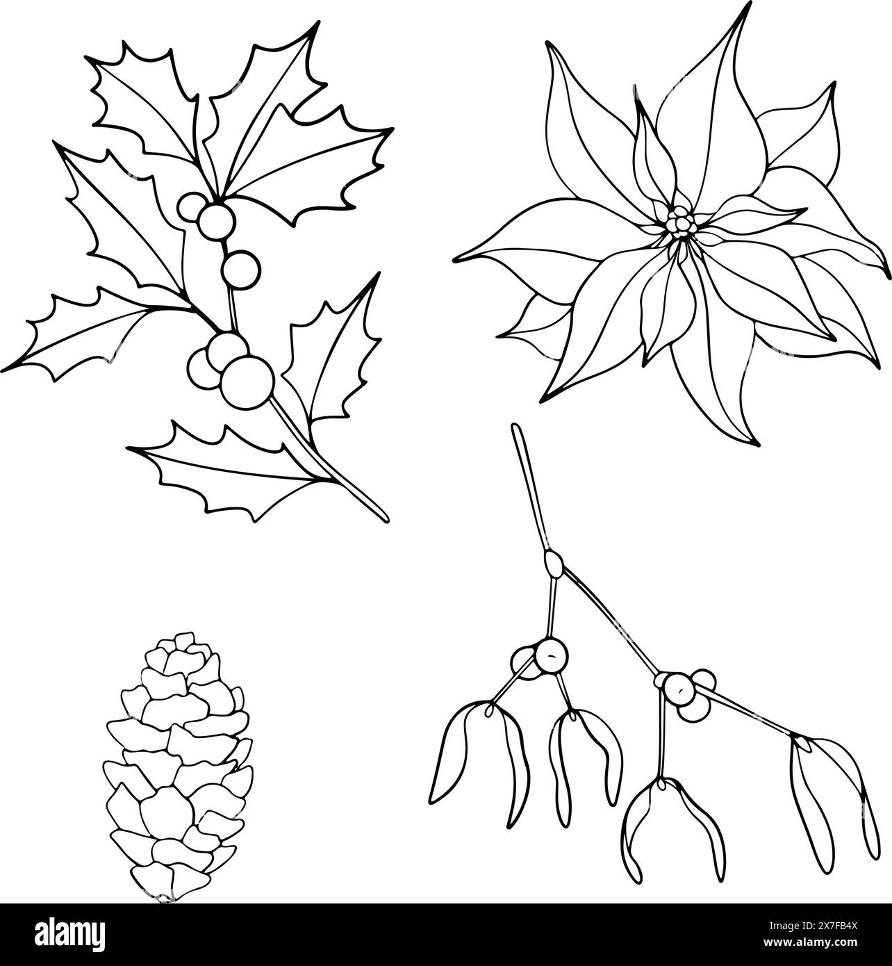 Set di piante natalizie linea art. Punta grafica a inchiostro, ramoscello di ilex con frutti di bosco, mignolo e conifere albero sempreverde con cono. Dipinto a mano Illustrazione Vettoriale