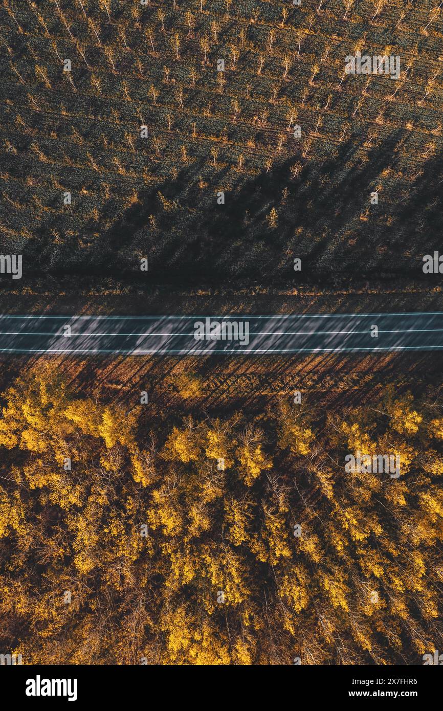 Strada asfaltata dritta attraverso un paesaggio boscoso in autunno, ripresa aerea dal drone pov, direttamente sopra Foto Stock